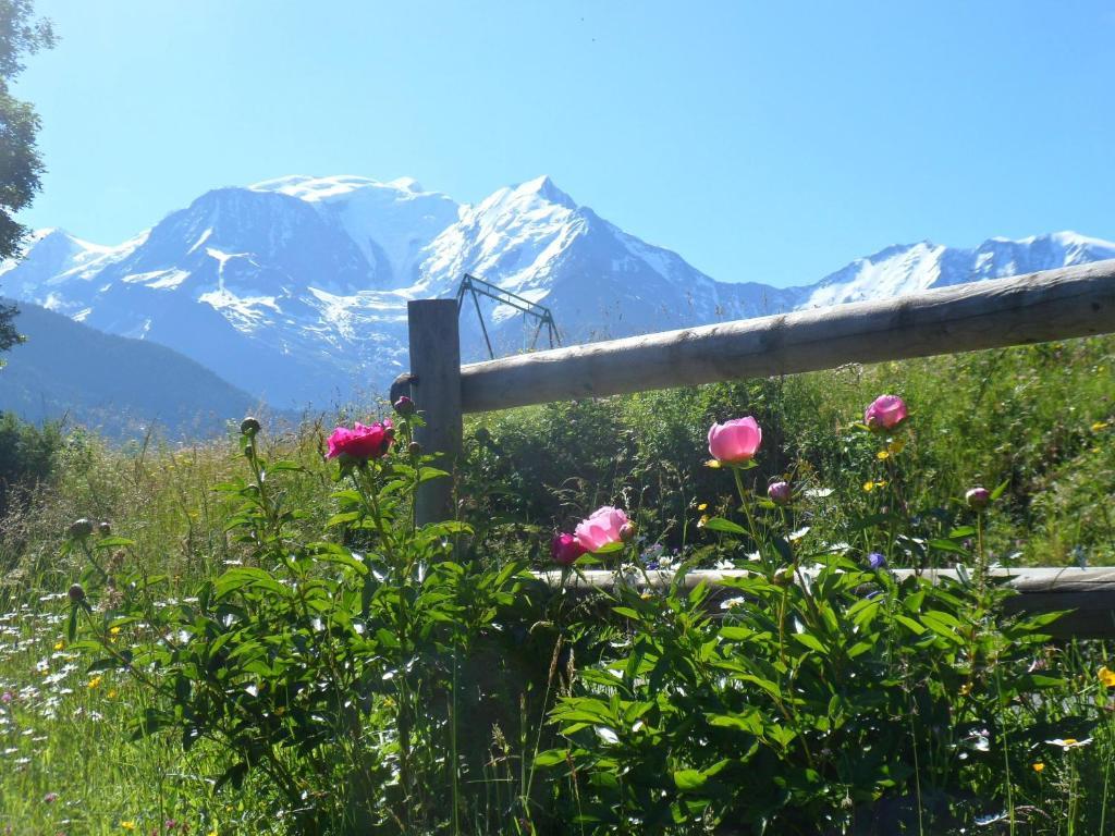 شقة Marie Mont Blanc Vue Mont Blanc سا جيرفي لي با المظهر الخارجي الصورة